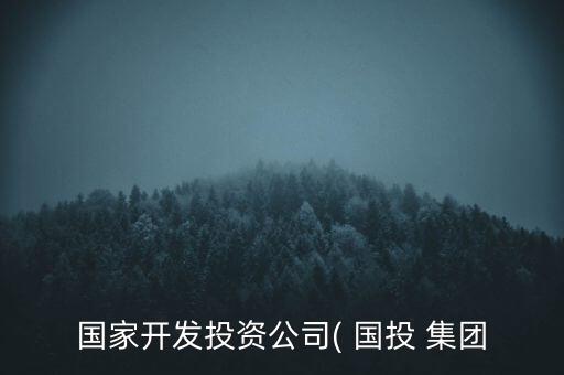 國家開發(fā)投資公司( 國投 集團(tuán)