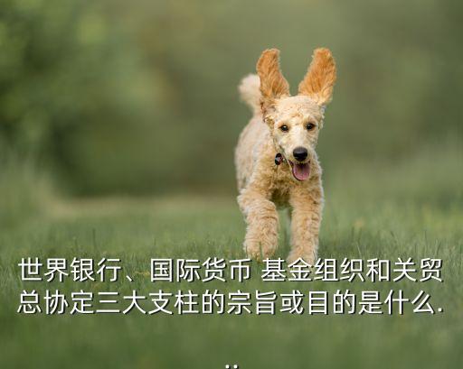 世界銀行、國際貨幣 基金組織和關(guān)貿(mào)總協(xié)定三大支柱的宗旨或目的是什么...
