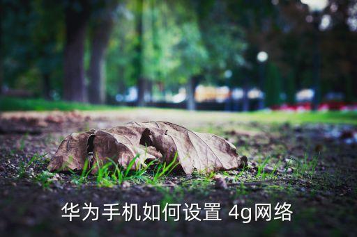 華為手機(jī)如何設(shè)置 4g網(wǎng)絡(luò)