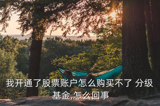 我開通了股票賬戶怎么購買不了 分級(jí) 基金,怎么回事
