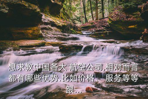 想求教中國各大 航空公司,相對而言都有哪些優(yōu)勢.比如價格、 服務(wù)等等跟...
