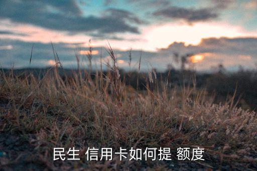 民生銀行信用卡怎么申請臨時(shí)額度,民生信用卡一般額度多少錢