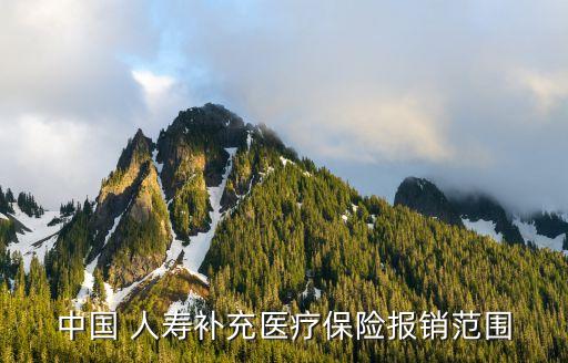 中國 人壽補(bǔ)充醫(yī)療保險報(bào)銷范圍