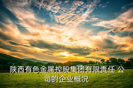  陜西有色金屬控股集團有限責任 公司的企業(yè)概況