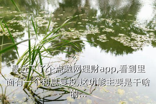 最近下了個點(diǎn)融網(wǎng)理財app,看到里面有一個利息復(fù)投,這功能主要是干啥的...