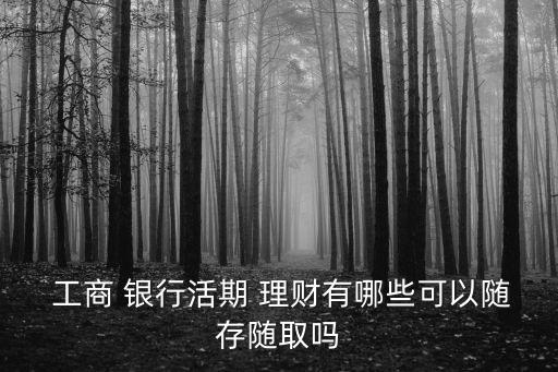 工商銀行的理財(cái)產(chǎn)品有哪些