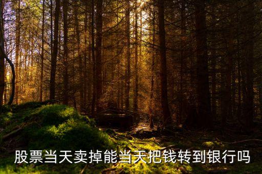  股票當(dāng)天賣(mài)掉能當(dāng)天把錢(qián)轉(zhuǎn)到銀行嗎