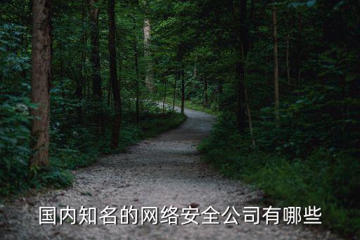 國內知名的網(wǎng)絡安全公司有哪些