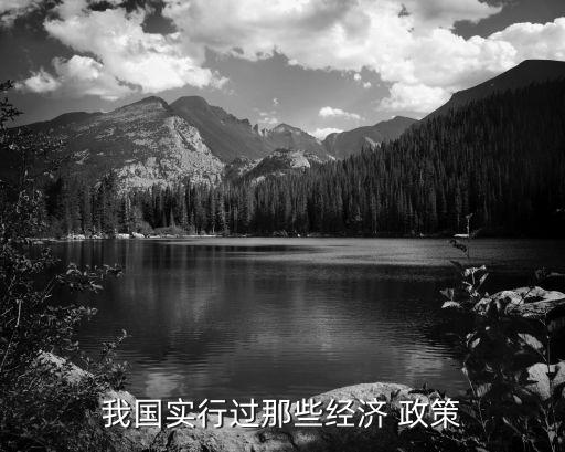 我國實行過那些經(jīng)濟(jì) 政策