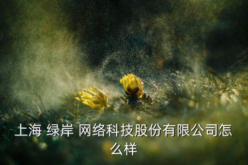 綠岸網絡投資人,上海綠岸網絡山海經