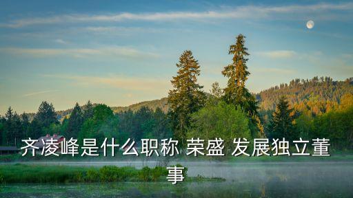 齊凌峰是什么職稱(chēng) 榮盛 發(fā)展獨(dú)立董事