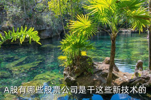 上海中科英華科技發(fā)展有限公司,中科開(kāi)創(chuàng)(廣州)智能科技發(fā)展有限公司