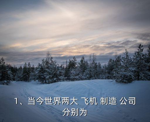 1、當(dāng)今世界兩大 飛機(jī) 制造 公司分別為