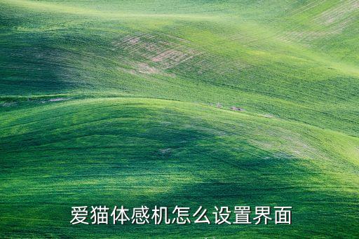  愛貓體感機(jī)怎么設(shè)置界面