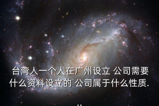 臺灣人投資內資公司