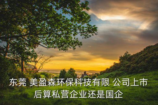 東莞 美盈森環(huán)?？萍加邢?公司上市后算私營企業(yè)還是國企