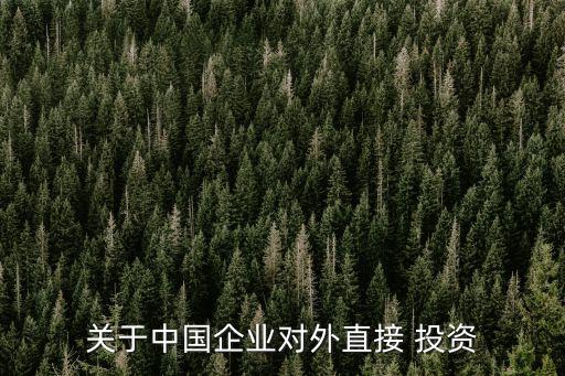 關(guān)于中國企業(yè)對(duì)外直接 投資