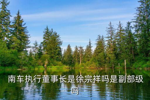  南車執(zhí)行董事長是徐宗祥嗎是副部級(jí)嗎