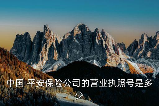 中國 平安保險(xiǎn)公司的營業(yè)執(zhí)照號是多少