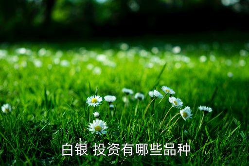 中國白銀集團(tuán)投資銀條,為什么投資銀條比白銀價(jià)格高