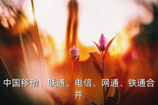 中國移動、聯(lián)通、電信、網(wǎng)通、鐵通合并