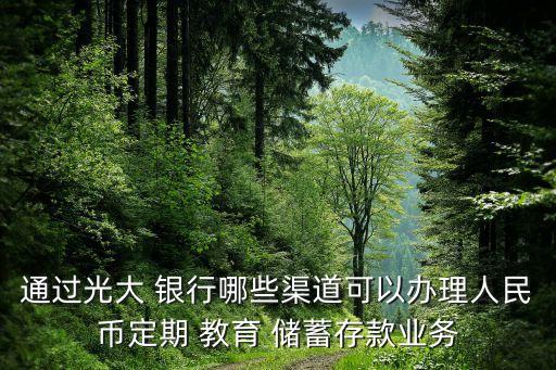 通過光大 銀行哪些渠道可以辦理人民幣定期 教育 儲(chǔ)蓄存款業(yè)務(wù)