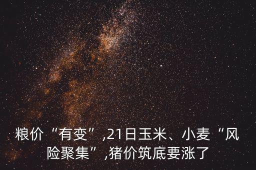 糧價(jià)“有變”,21日玉米、小麥“風(fēng)險(xiǎn)聚集”,豬價(jià)筑底要漲了