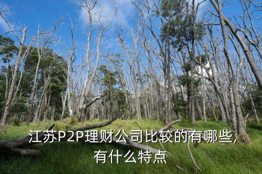  江蘇P2P理財公司比較的有哪些,有什么特點(diǎn)