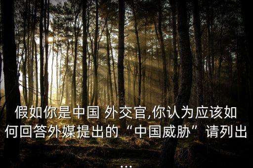 國外評(píng)價(jià)中國外交,中國外交評(píng)價(jià)300字