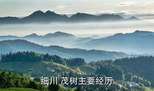 細(xì)川 茂樹(shù)主要經(jīng)歷