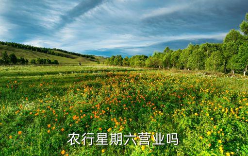 農行星期六營業(yè)嗎