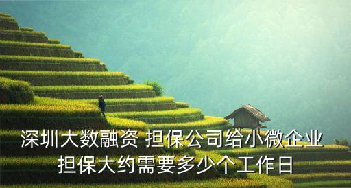 深圳大數融資 擔保公司給小微企業(yè) 擔保大約需要多少個工作日