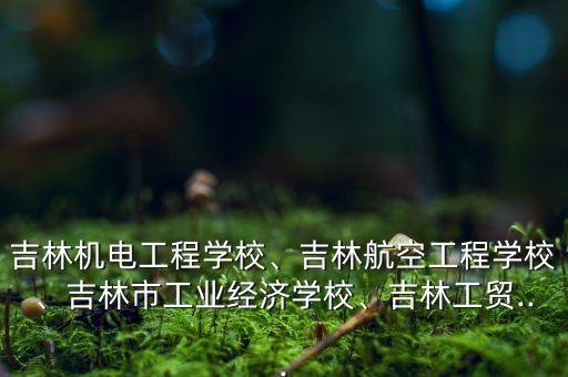 吉林機電工程學(xué)校、吉林航空工程學(xué)校、吉林市工業(yè)經(jīng)濟學(xué)校、吉林工貿(mào)...
