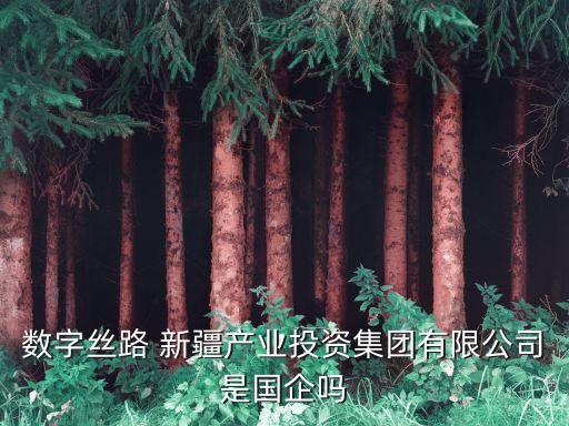 數(shù)字絲路 新疆產業(yè)投資集團有限公司是國企嗎