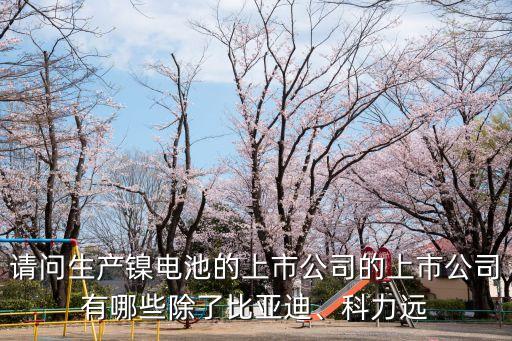 請(qǐng)問(wèn)生產(chǎn)鎳電池的上市公司的上市公司有哪些除了比亞迪、科力遠(yuǎn)