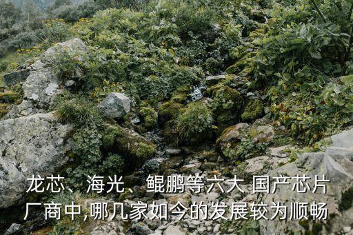  龍芯、海光、鯤鵬等六大 國產(chǎn)芯片廠商中,哪幾家如今的發(fā)展較為順暢
