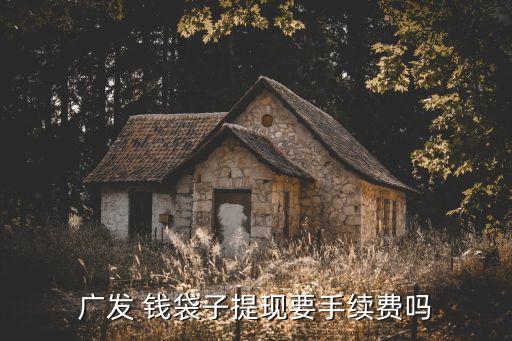 廣發(fā) 錢(qián)袋子提現(xiàn)要手續(xù)費(fèi)嗎