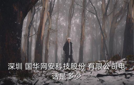深圳 國華網安科技股份 有限公司電話是多少