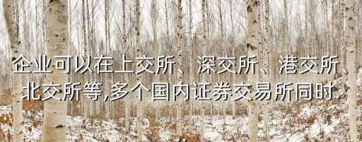 企業(yè)可以在上交所、深交所、港交所、北交所等,多個國內(nèi)證券交易所同時...