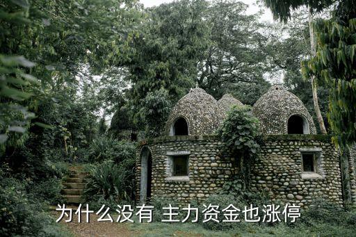 股票沒主力機構(gòu),股票里面主力、機構(gòu)分別是什么意思