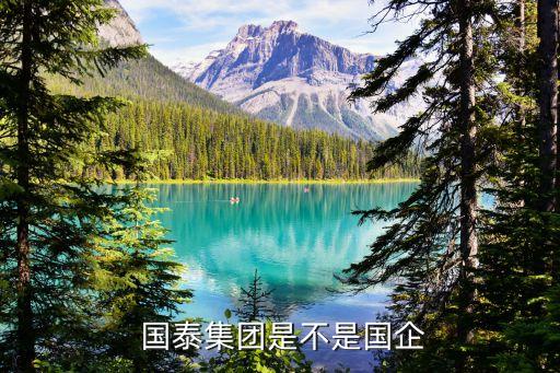 國泰房地產基金,垣曲縣國泰房地產老板
