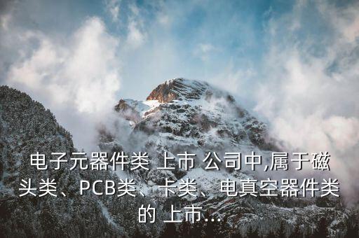 電子元器件類 上市 公司中,屬于磁頭類、PCB類、卡類、電真空器件類的 上市...