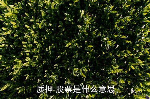 股票可以質押嗎,股票質押解除是利好還是利空