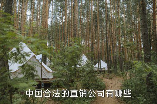 中國(guó)合法的直銷(xiāo)公司有哪些