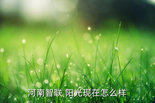 河南智聯(lián) 陽光現在怎么樣
