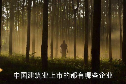 中國(guó)建筑業(yè)上市的都有哪些企業(yè)
