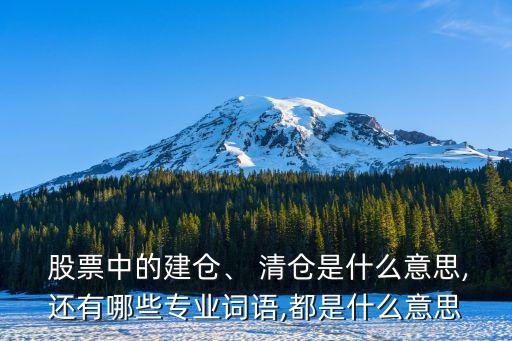  股票中的建倉、 清倉是什么意思,還有哪些專業(yè)詞語,都是什么意思