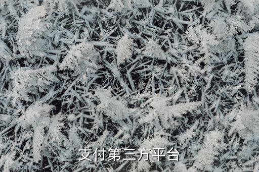 上海匯付金融服務(wù)有限公司電話,云南匯付四?；ヂ?lián)網(wǎng)金融服務(wù)有限公司
