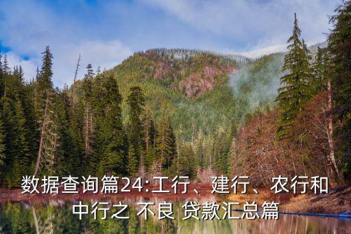 數(shù)據(jù)查詢篇24:工行、建行、農(nóng)行和中行之 不良 貸款匯總篇