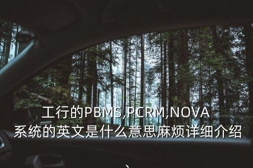 工行的PBMS,PCRM,NOVA 系統(tǒng)的英文是什么意思麻煩詳細介紹、